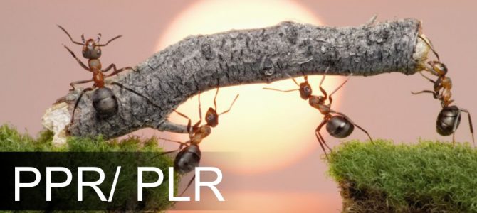 Quer implementar o PPR / PLR em sua empresa? Veja aqui como fazer isso e estipular uma meta adequada! Quer implementar o PPR / PLR em sua empresa? Veja aqui como fazer isso e estipular uma meta adequada!